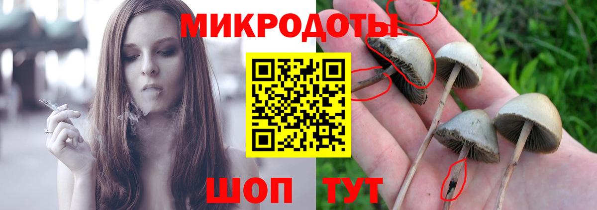 Псилоцибиновые грибы Psilocybe  Вход с VPN  Новошахтинск 